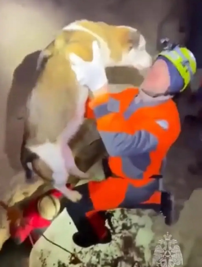 В Башкирии спасли пса, упавшего в расщелину Киндерлинской пещеры