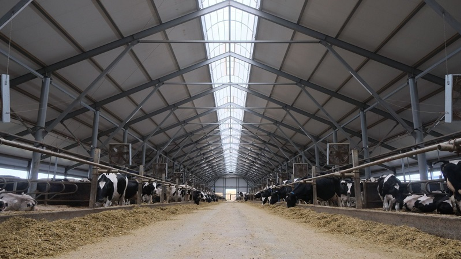 В Башкирии заработают пять технологичных мегаферм