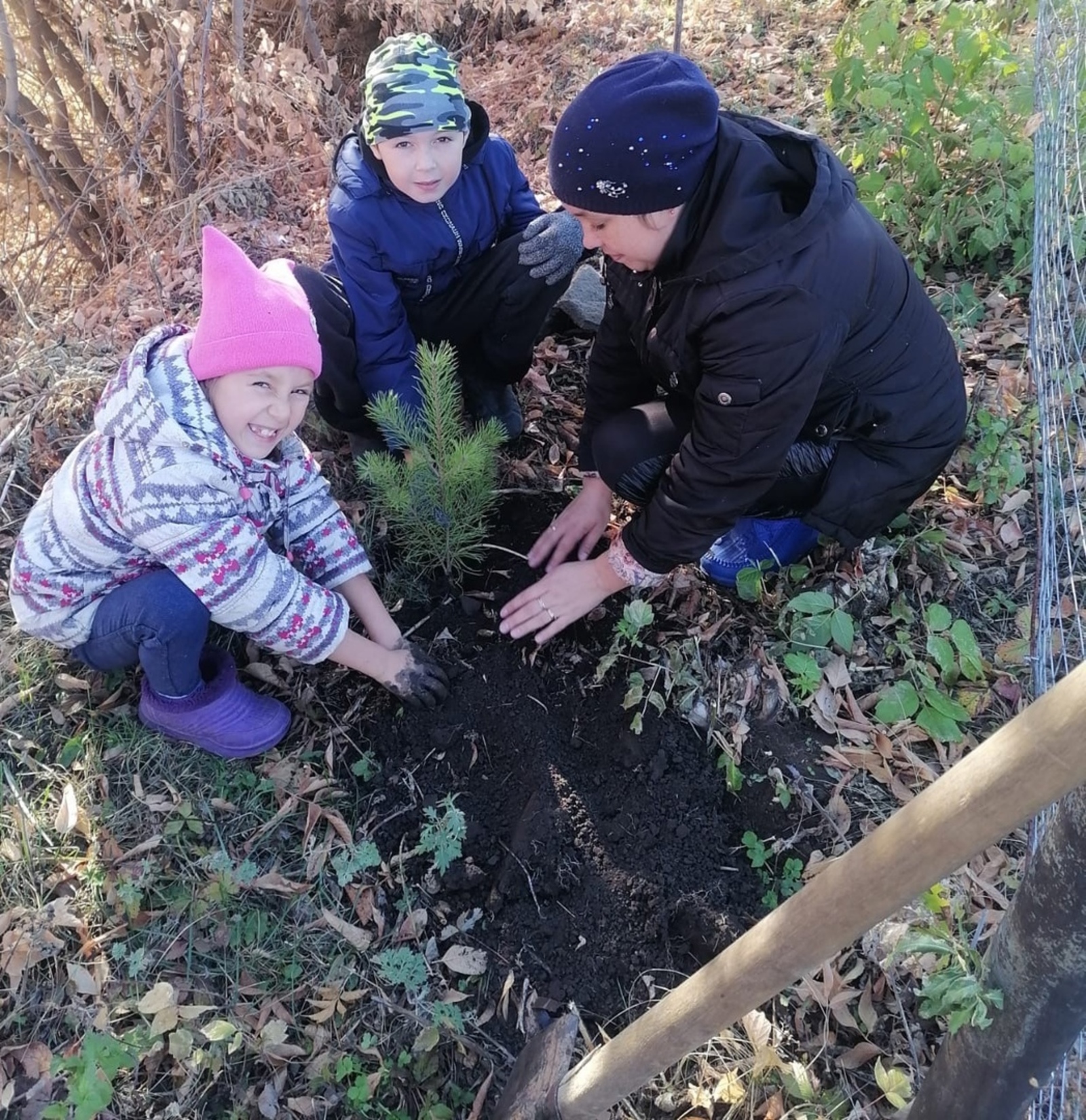 Жители Шаранского района сажают «семейные» деревья
