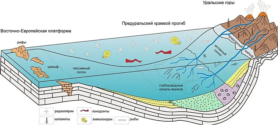 с сайта геопарка «Торатау» В таких условиях на дне Предуральского краевого прогиба формировались геологические разрезы «Усолка» и «Дальний Тюлькас».