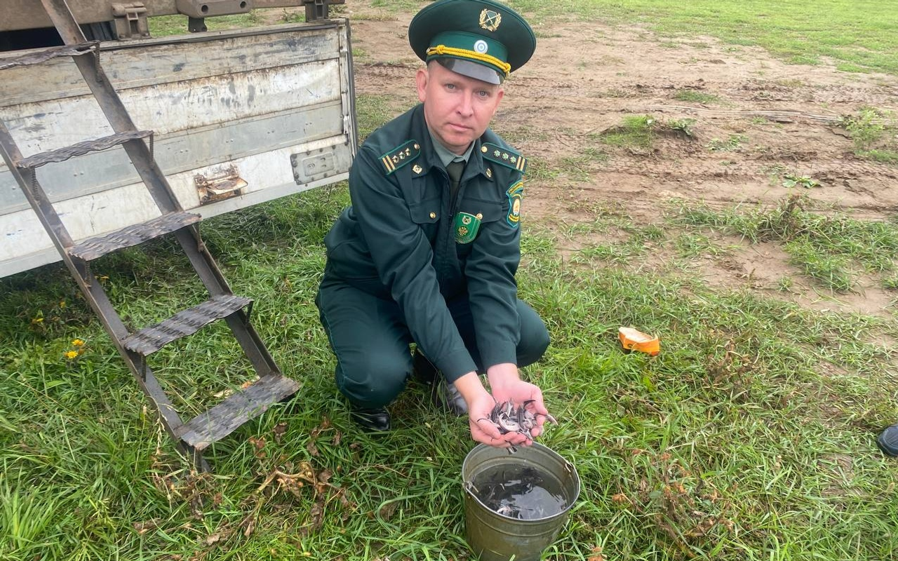 В Башкирии в водоём выпустили 50 тысяч мальков стерляди