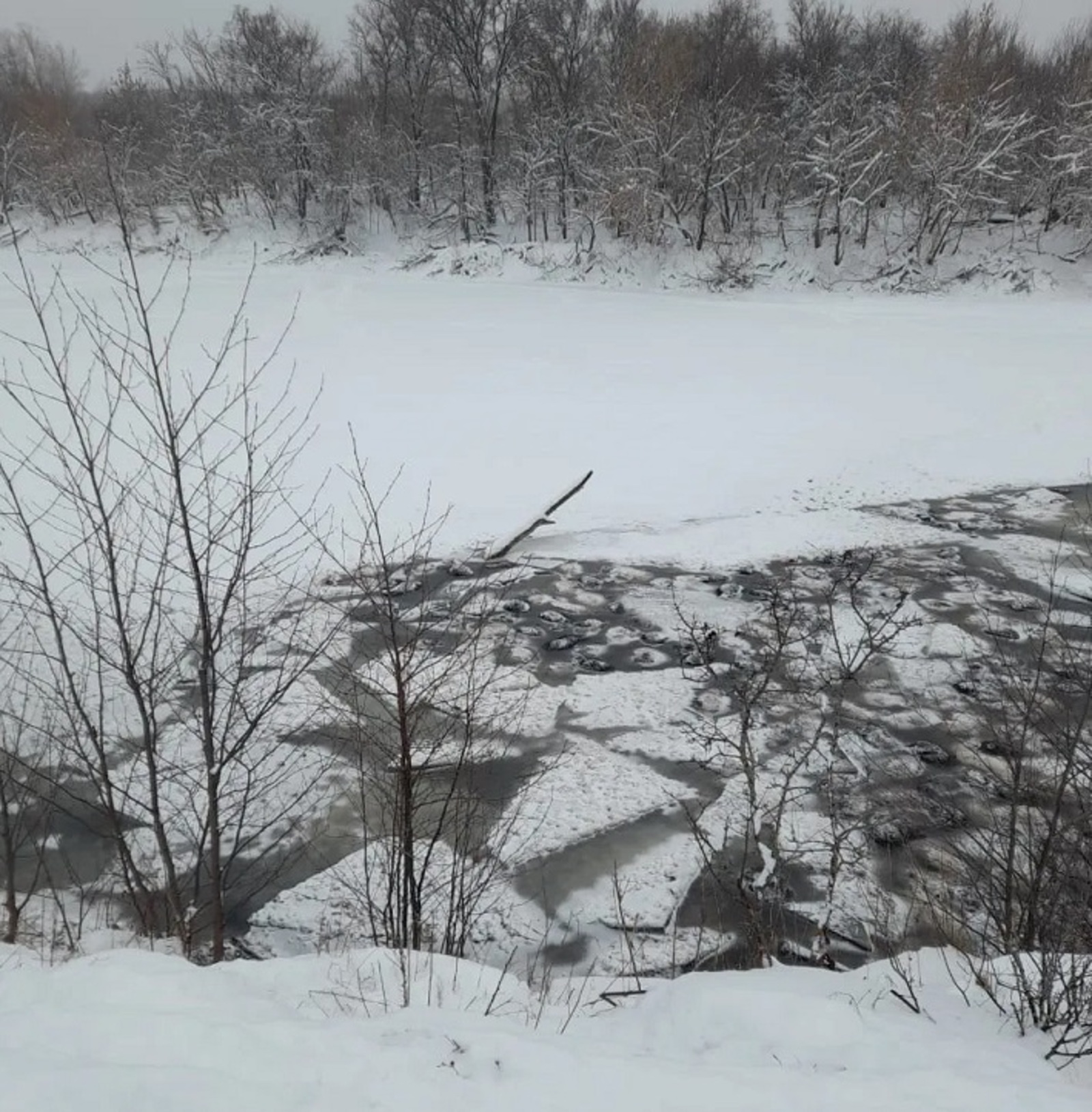 В Башкирии под лёд провалились более двухсот овец