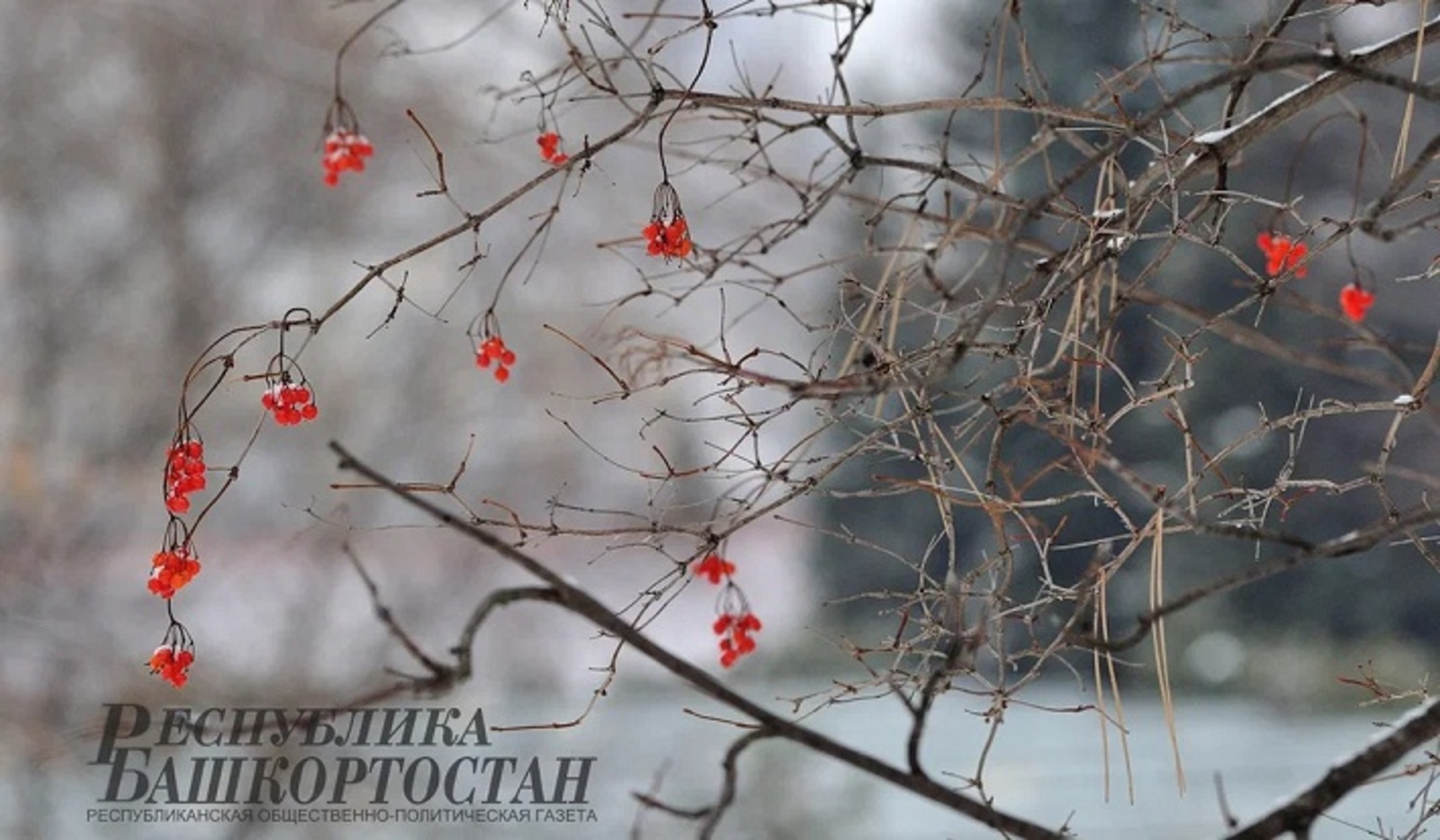 В Башкирии ударят морозы до минус 36 градусов