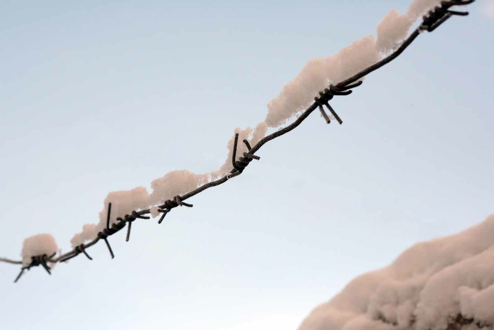 В Уфе курьера телефонных мошенников отправили в колонию