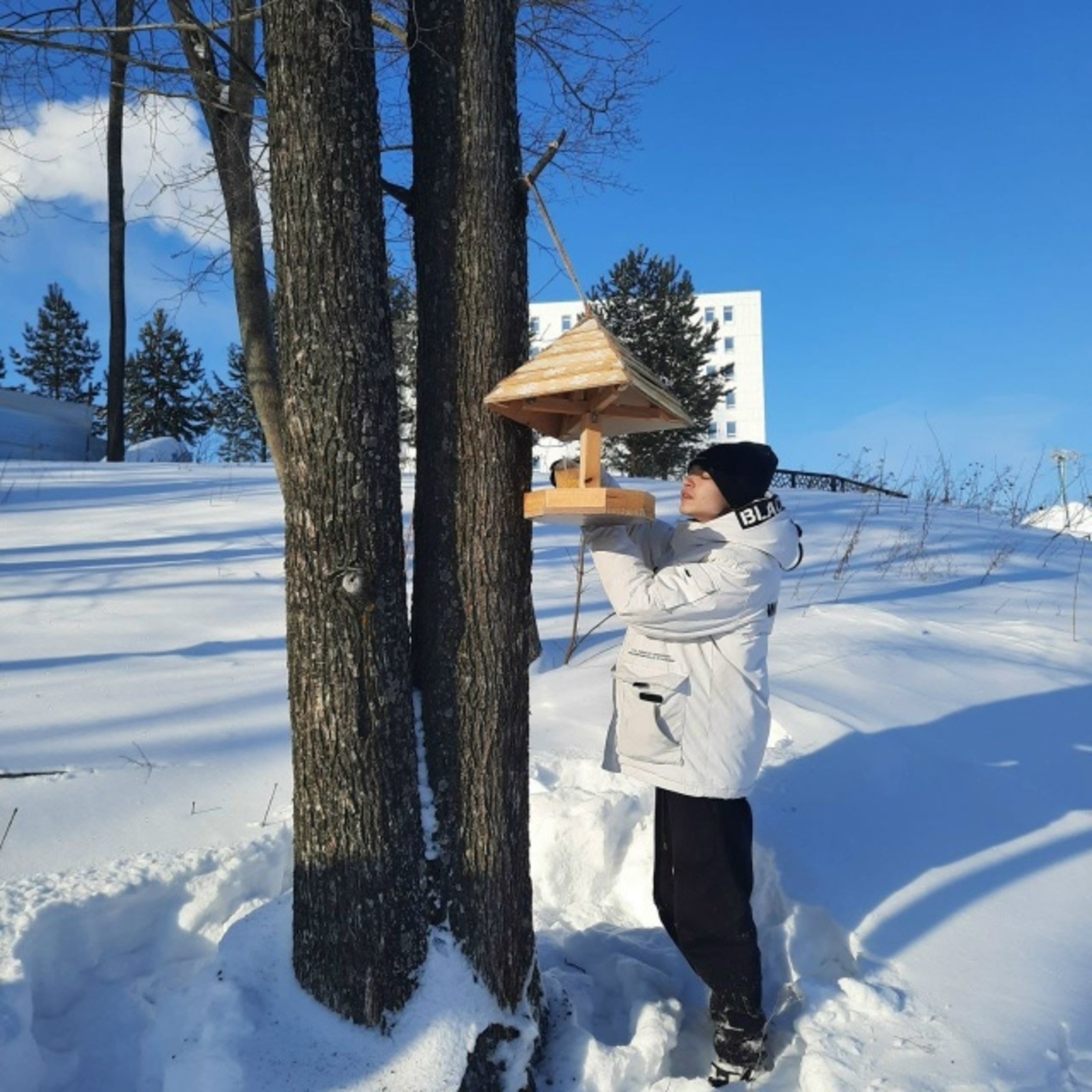 В Уфе юные натуралисты привели в порядок птичьи «столовые»
