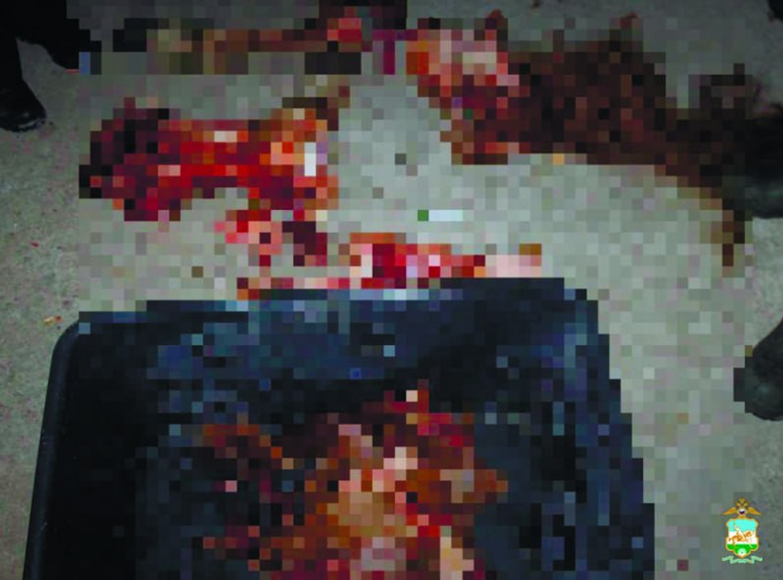 В Башкирии двое охотников, оставшись без добычи, застрелили и разделали лошадь