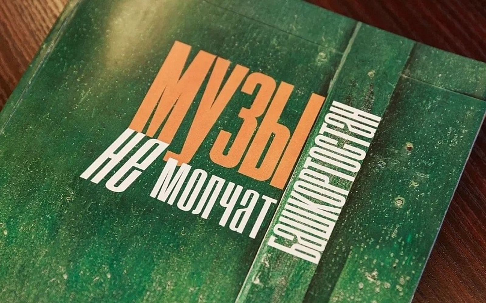 В Уфе выпустили сборник «Музы не молчат. Башкортостан», посвященный СВО