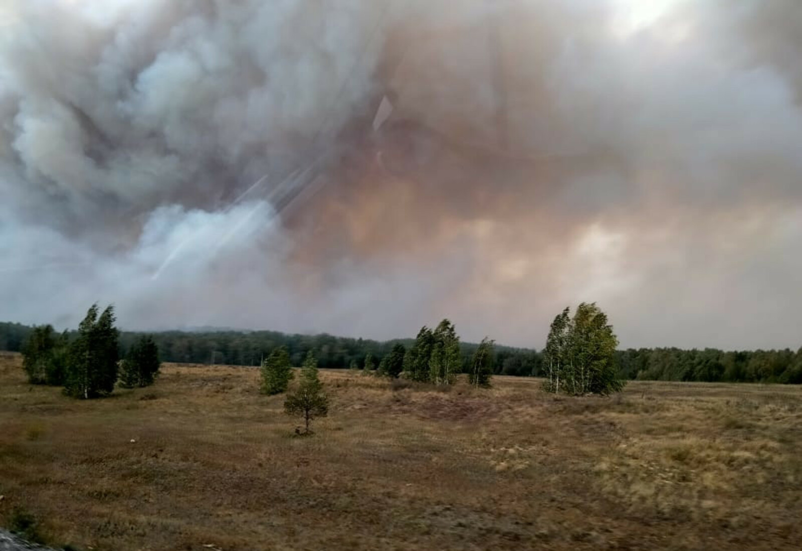 Лес в Баймакском районе Башкирии продолжает гореть