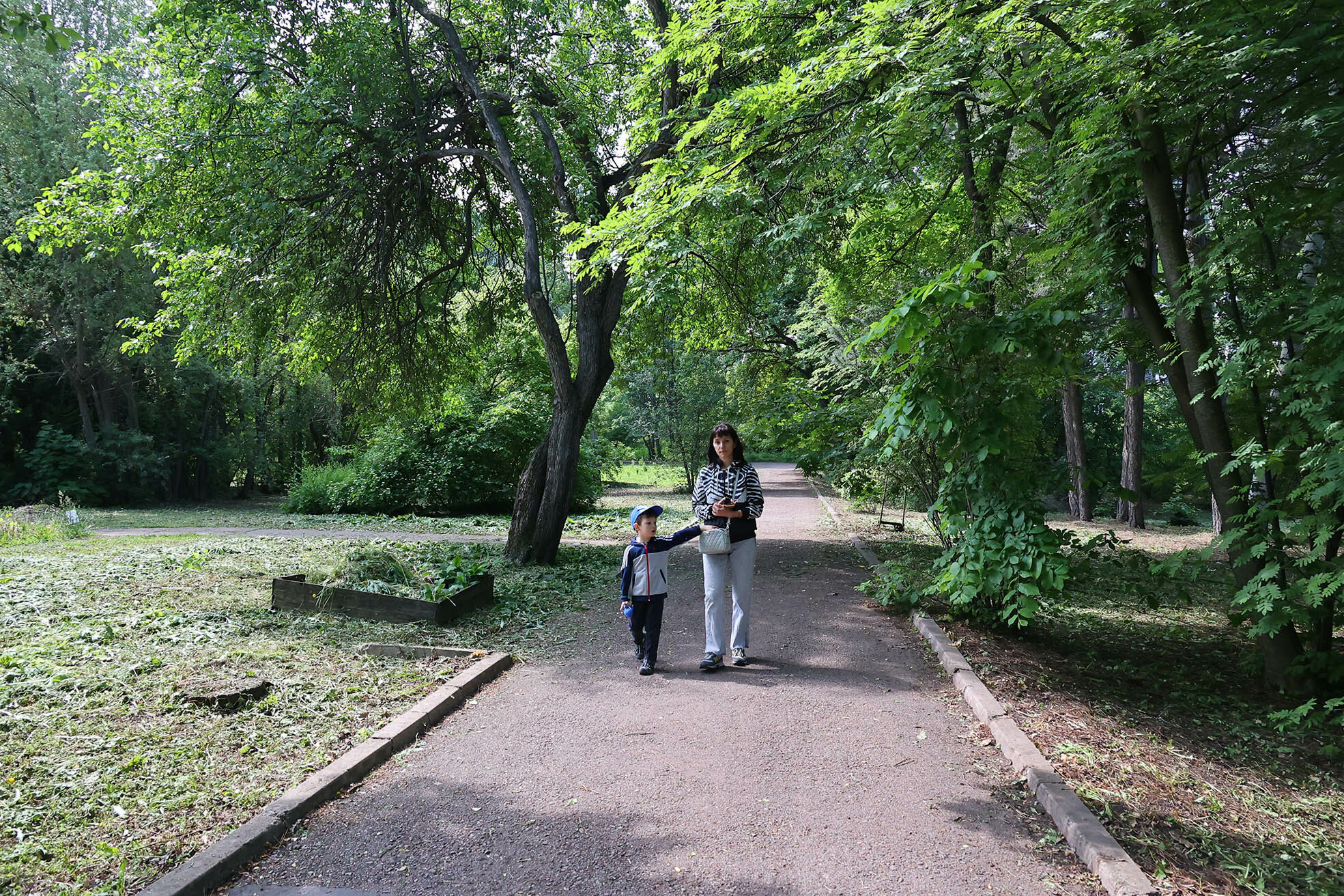 «Чак-чак» найдём в цветнике