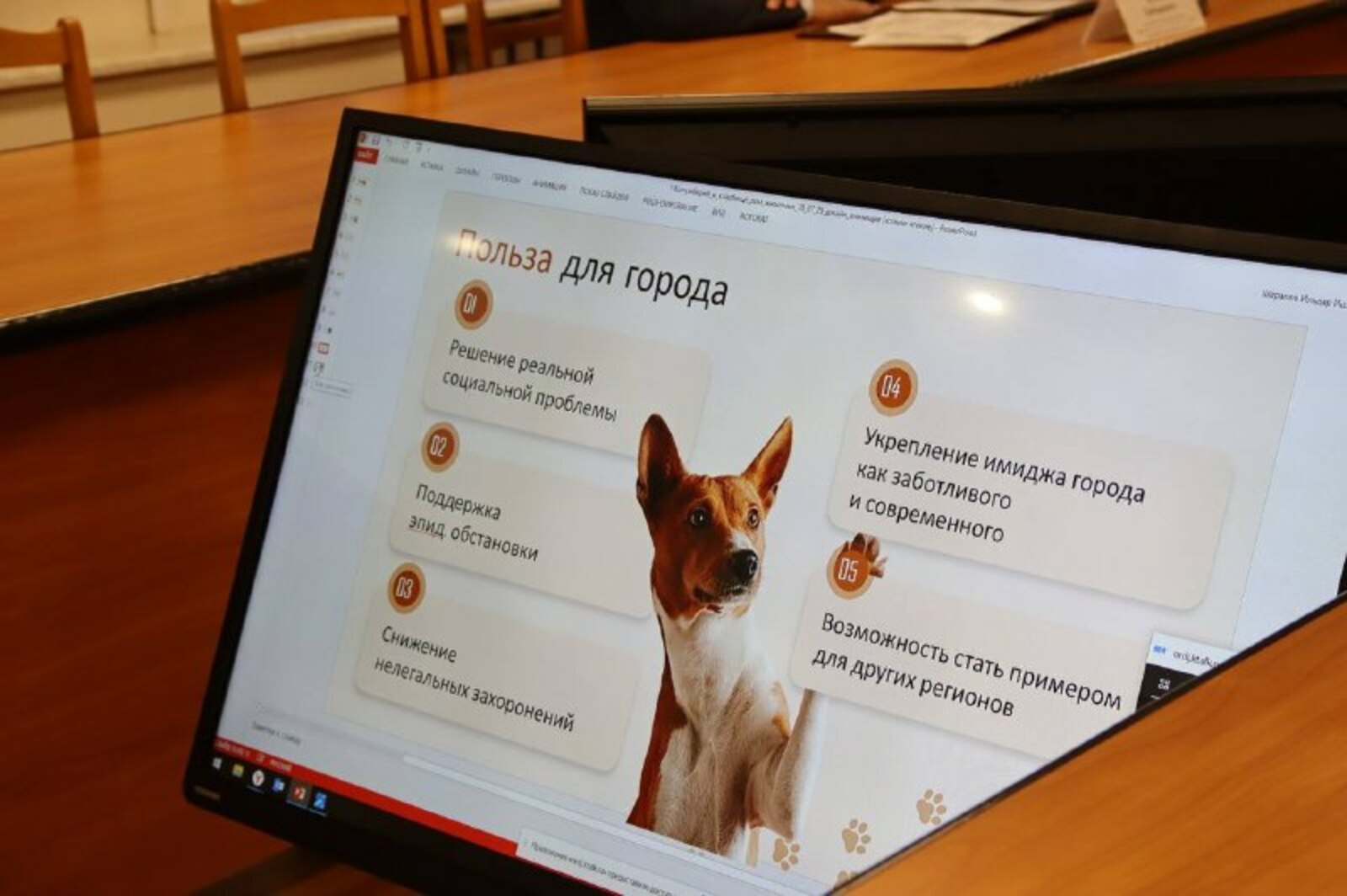 В Уфе появится официальное кладбище домашних животных