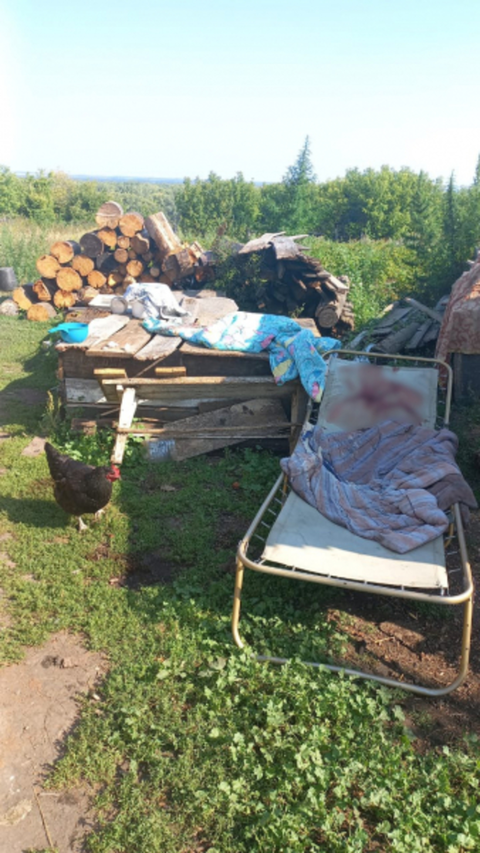 Житель Башкирии нанёс удары топором матери и отчиму
