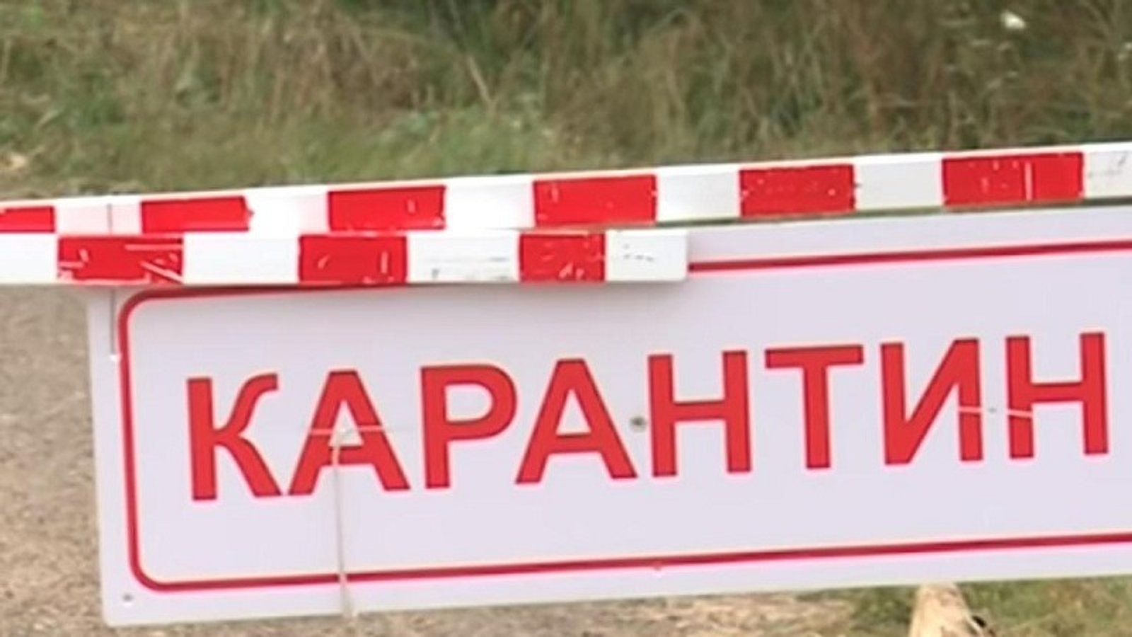 со страницы ВКонтакте администрации Учалинского района.