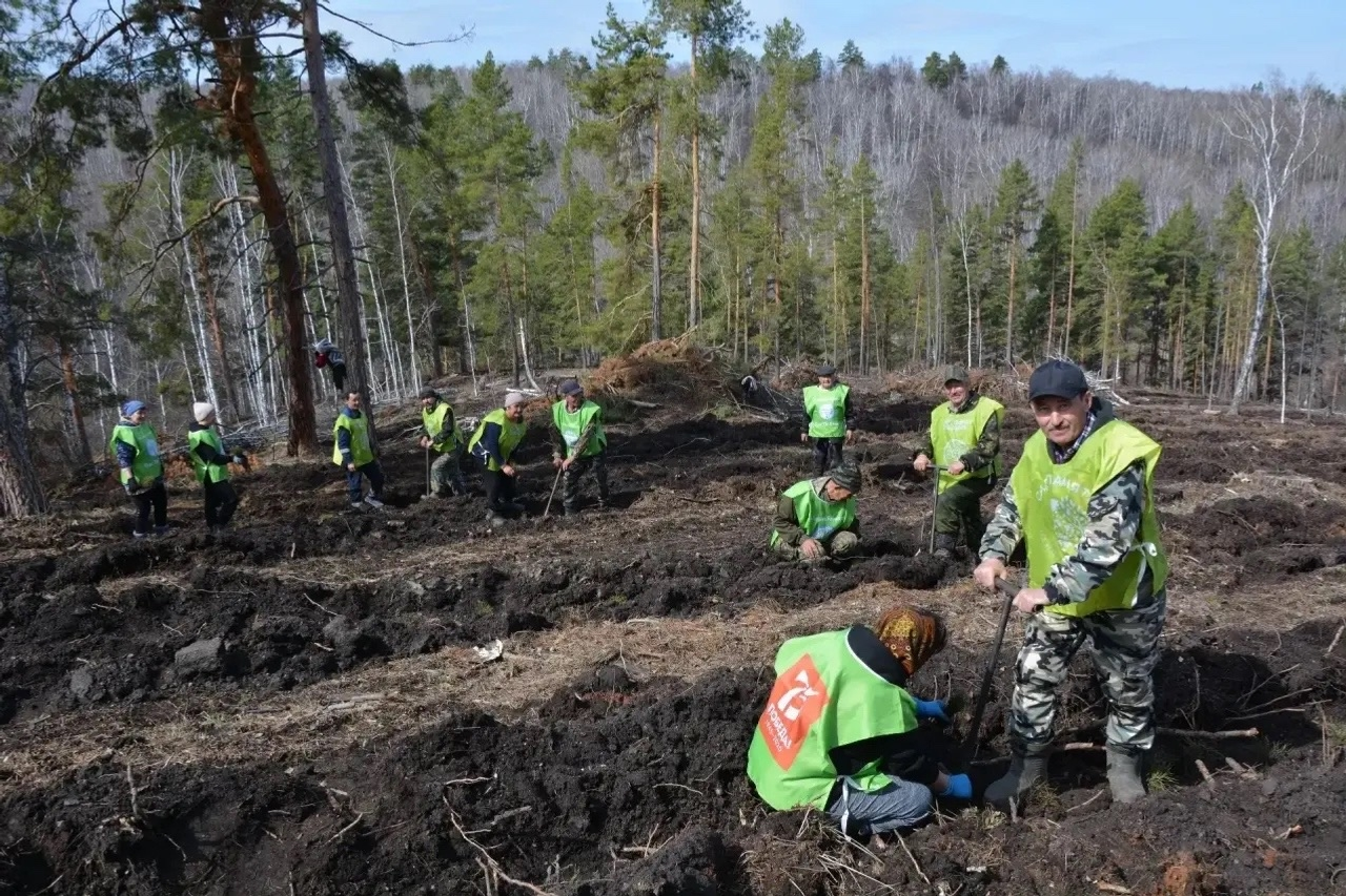 Сегодня в Башкирии появились 54 новые аллеи