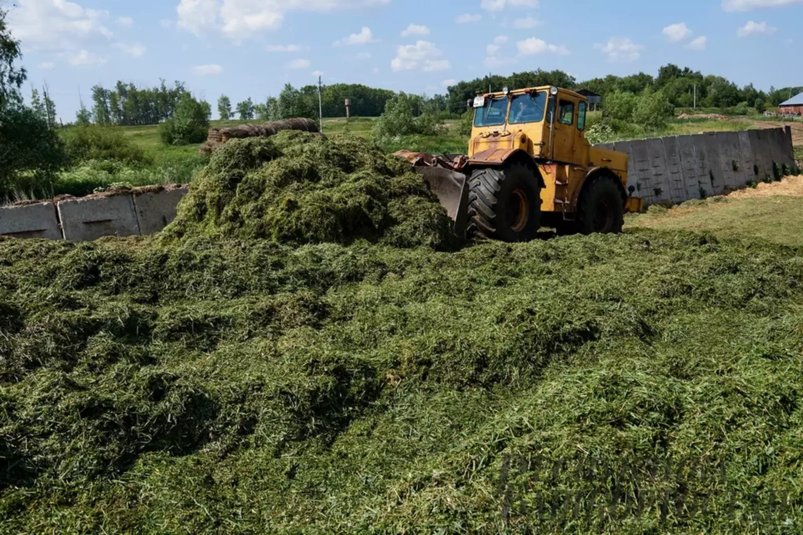 Радий Хабиров остался доволен производством продукции сельского хозяйства
