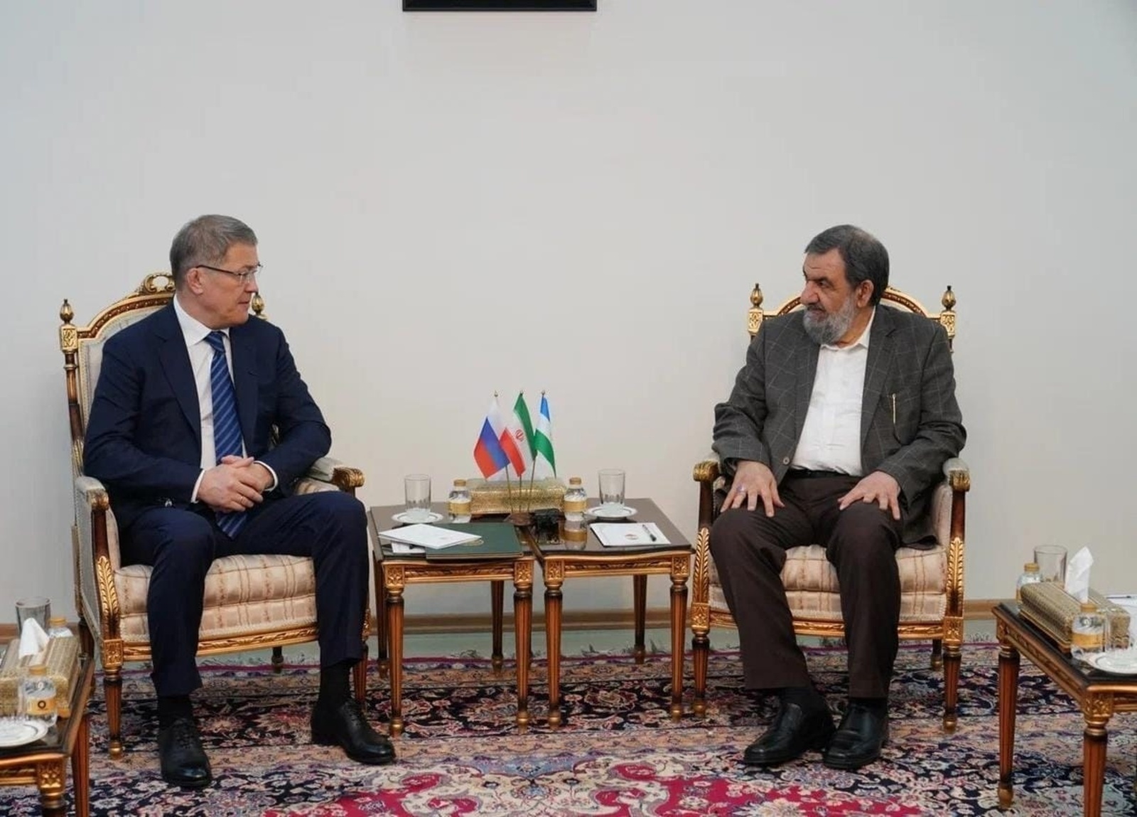 Глава Башкирии обсудил с вице-президентом Ирана экономическое сотрудничество