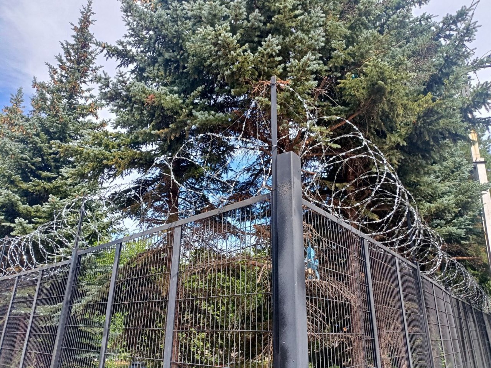 Вадим АНДРЕЕВ