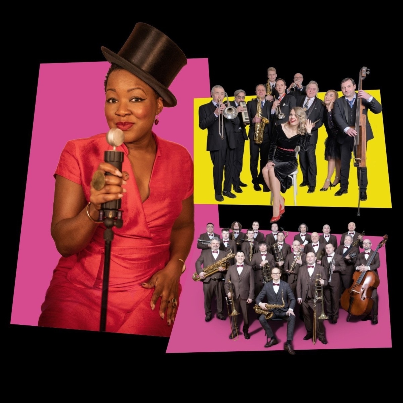 В Уфе пройдёт джазовый фестиваль «Розовая пантера»