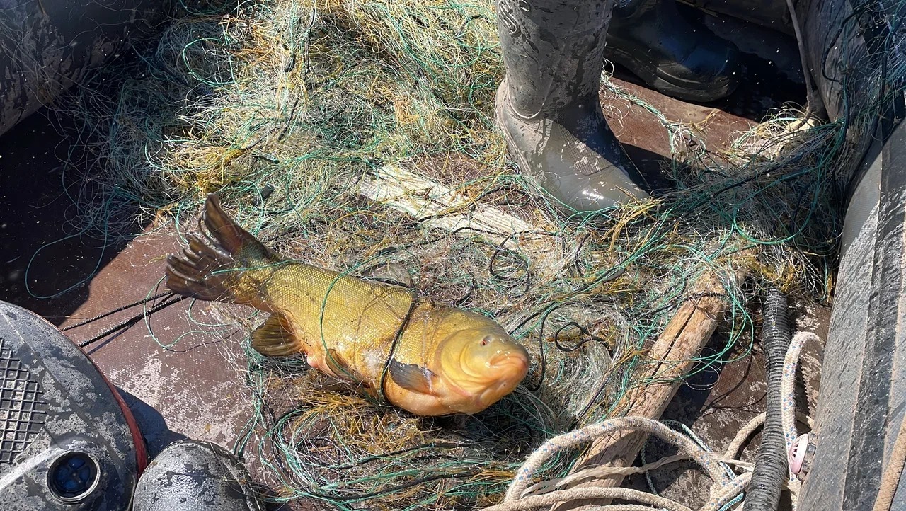 Народный фронт: Кандрыкуль должно стать «озером без сетей»