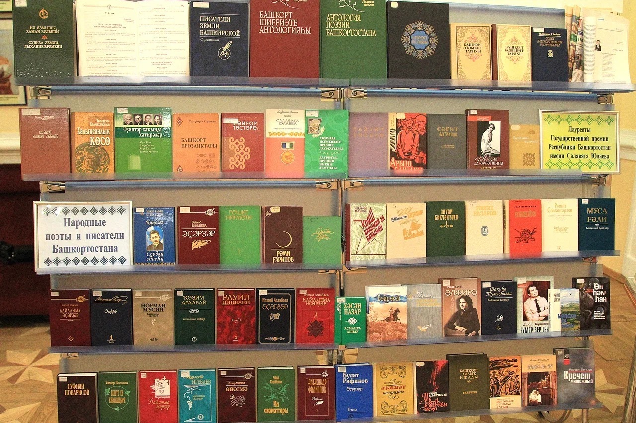 В Уфе на ярмарке «Китап-Байрам» соберут книги для пациентов хосписа