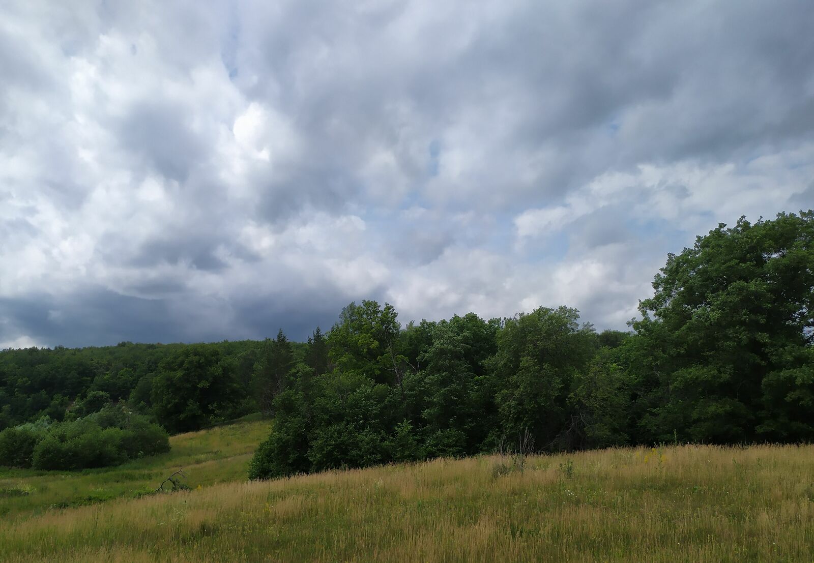 Вадим АНДРЕЕВ