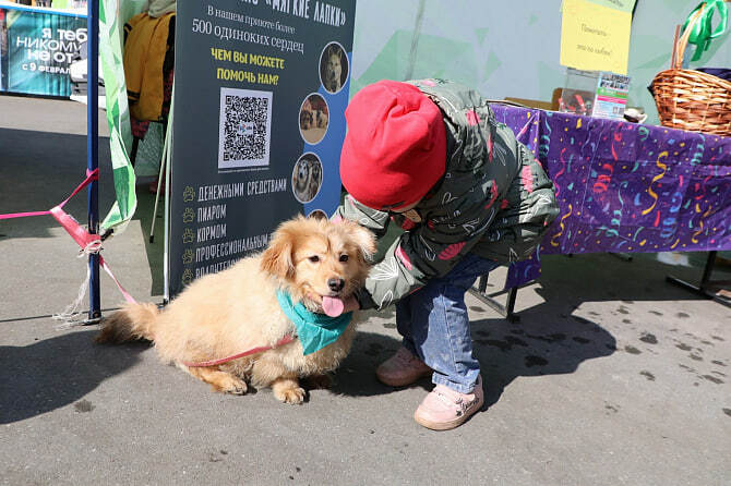 Радий Хабиров побывал в гостях у бездомных собак