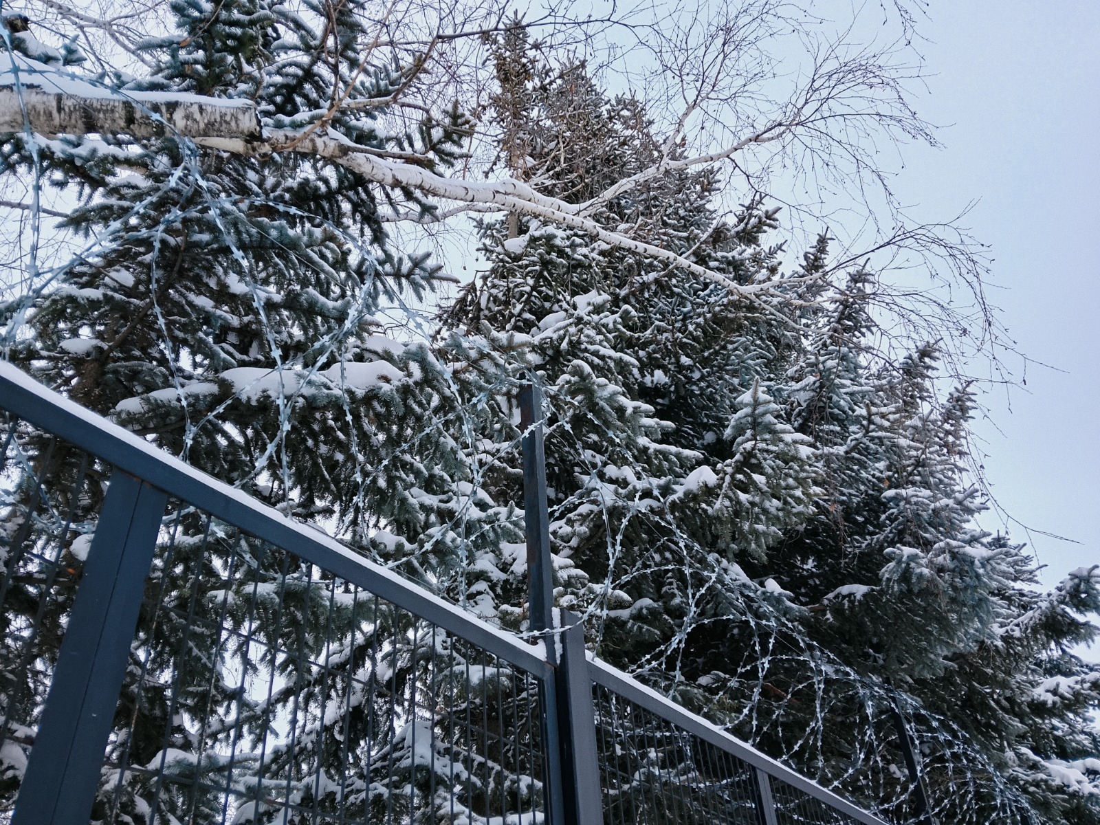 Вадим АНДРЕЕВ