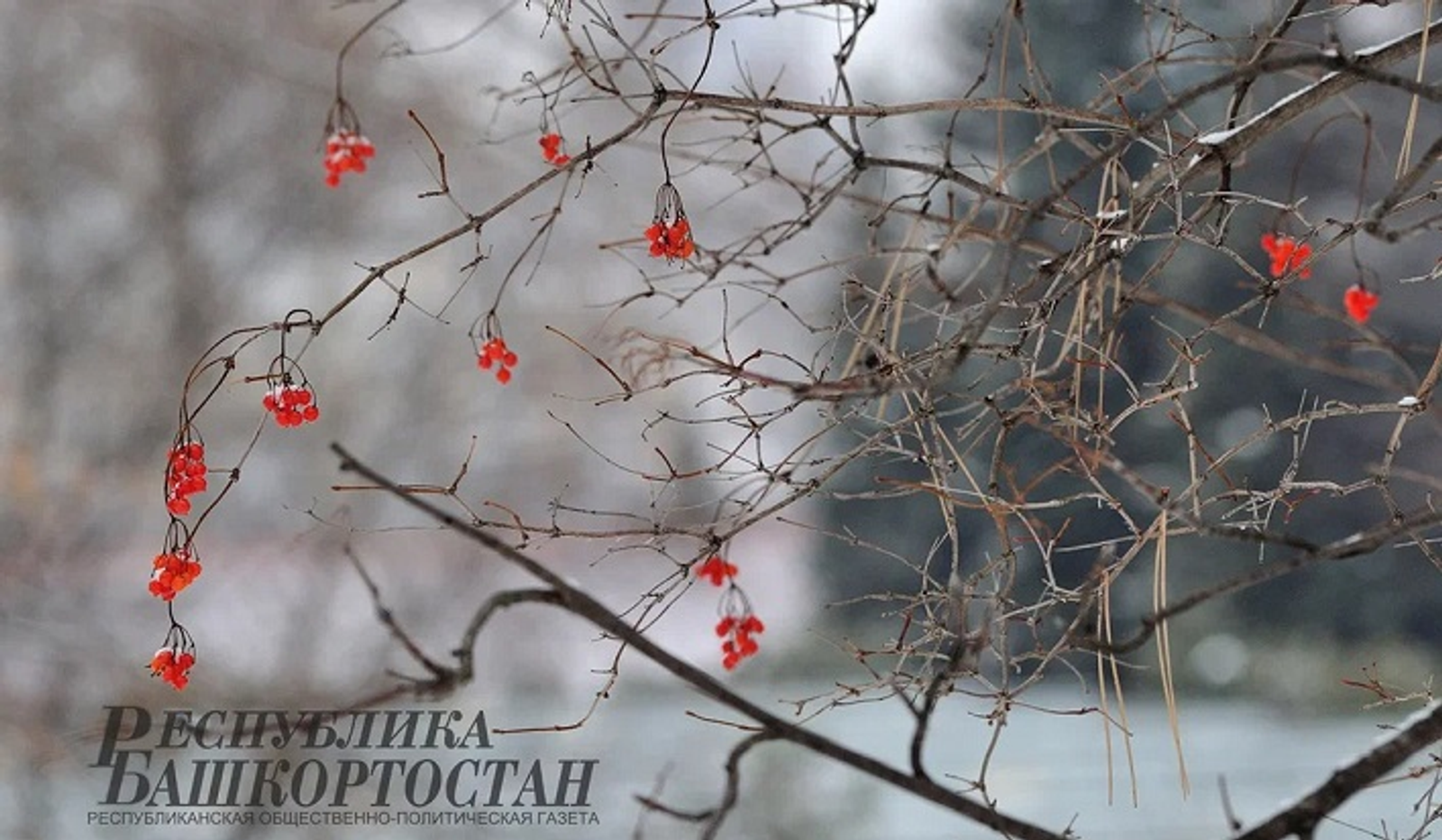 В Башкирии в выходные подморозит до минус 28 градусов, а потом снова потеплеет