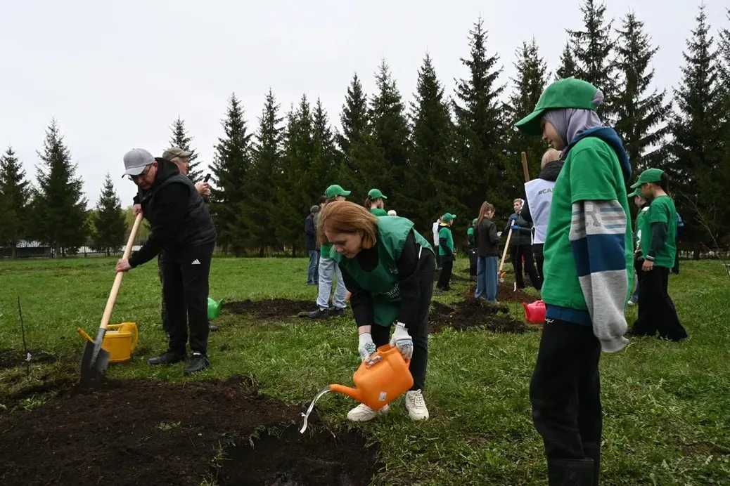 В Башкирии высажено более 5,5 тыс. крупномеров и почти 100 тыс. кустарников