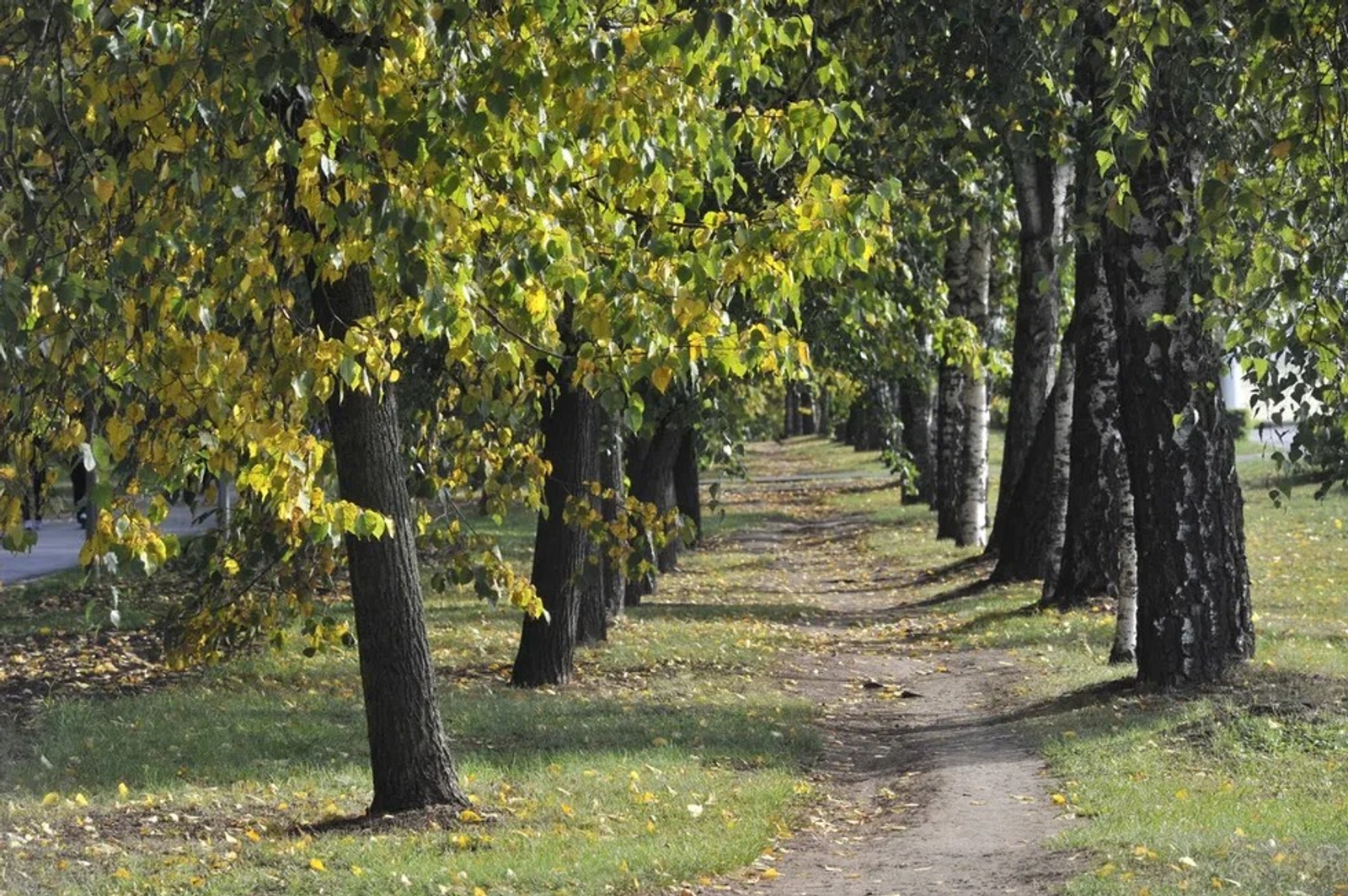 Альберт ЗАГИРОВ.