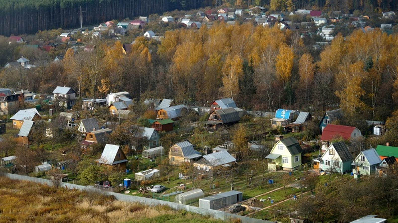В Уфе в пятый раз проведут форум «СМАРТ-садовод»