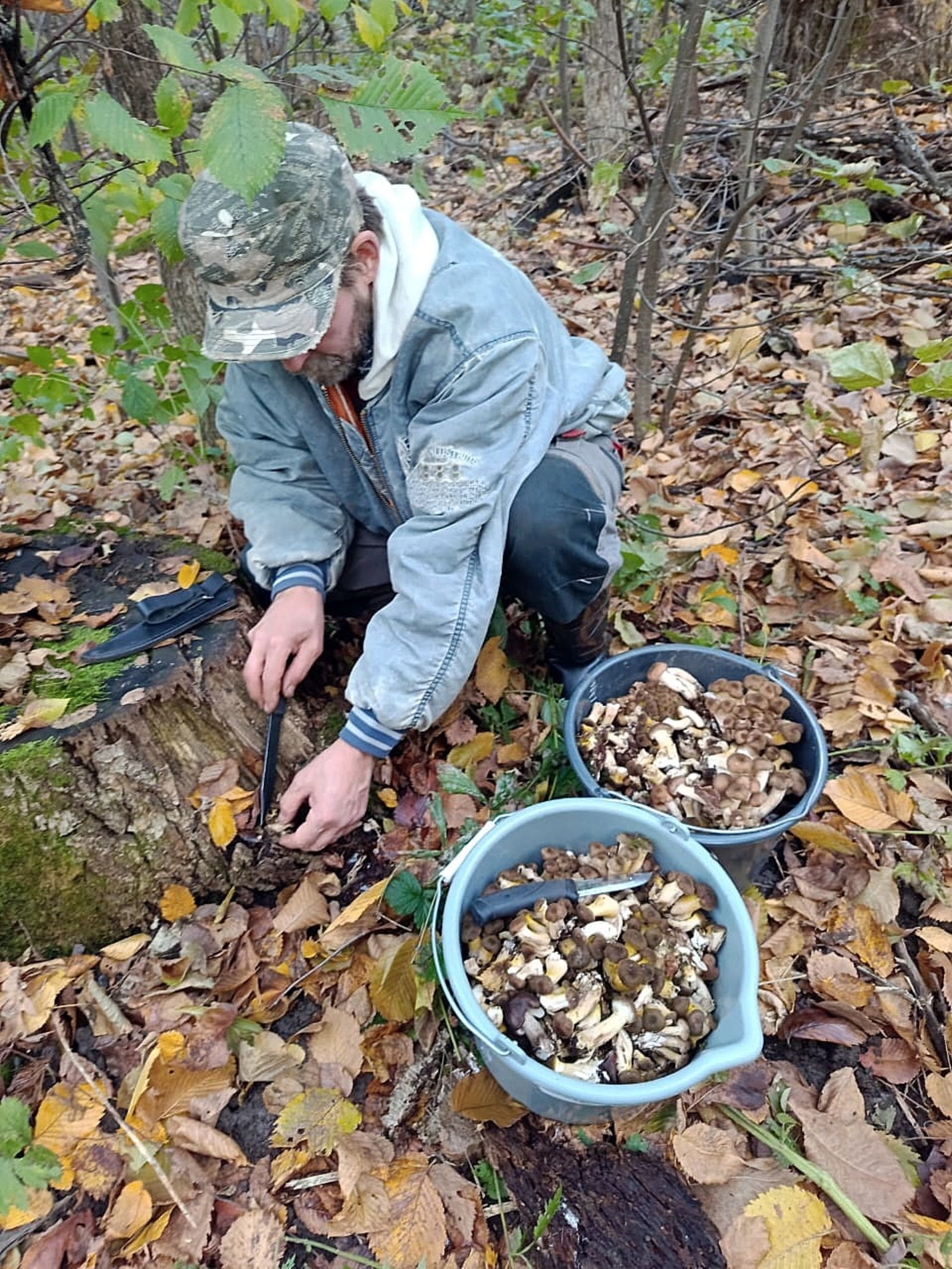 Сергей ЛАПУКА