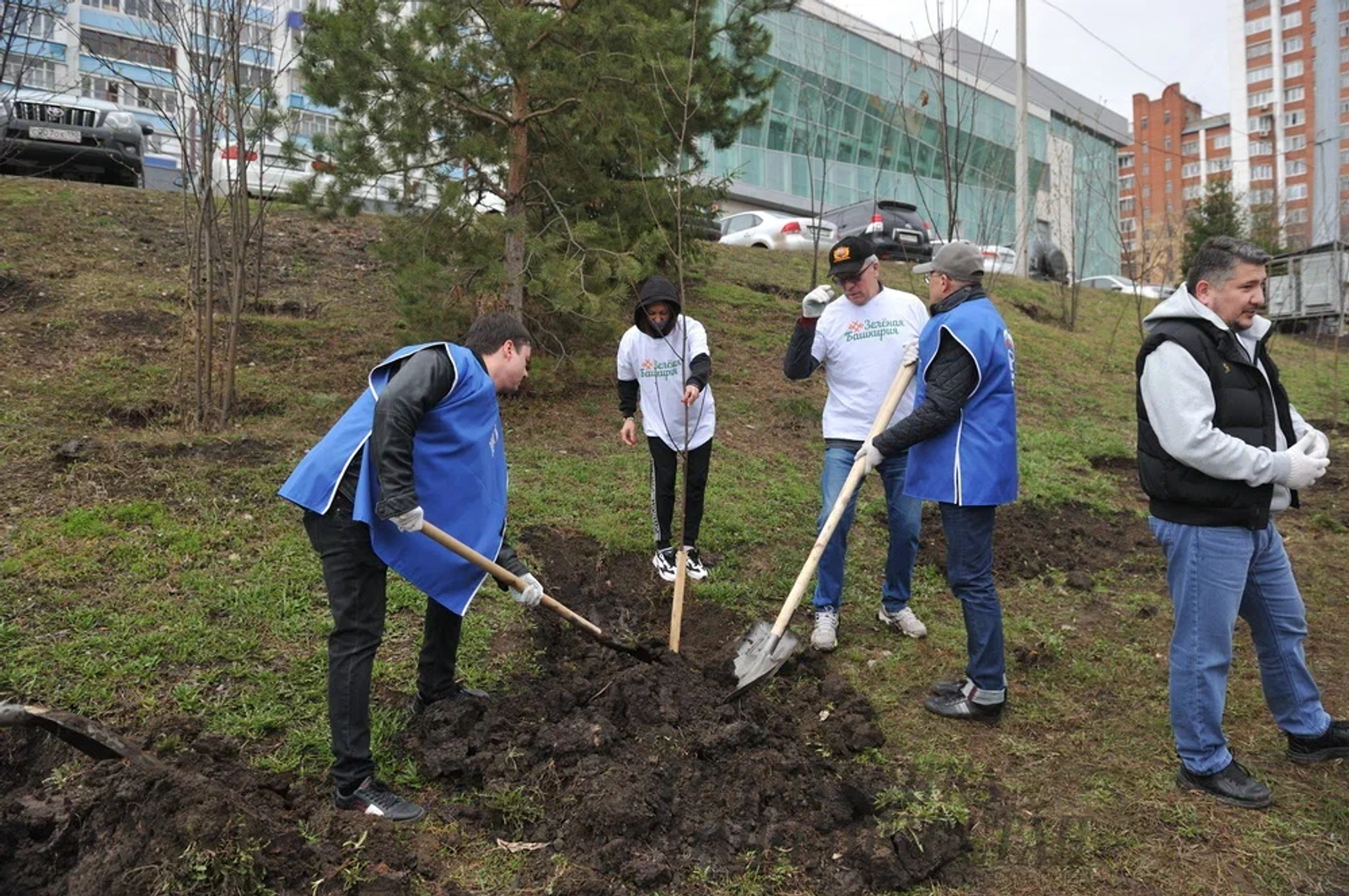 На осенней акции «Зеленая Башкирия» высадят 4 тысячи крупномеров