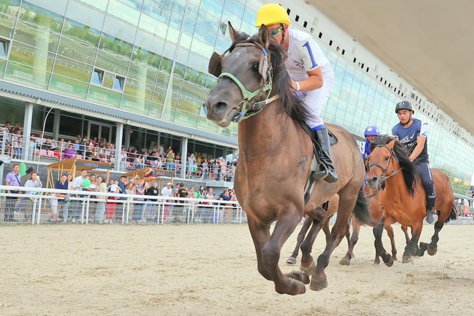 Скаковой сезон на ипподроме «Акбузат» в Уфе стартует 8 мая