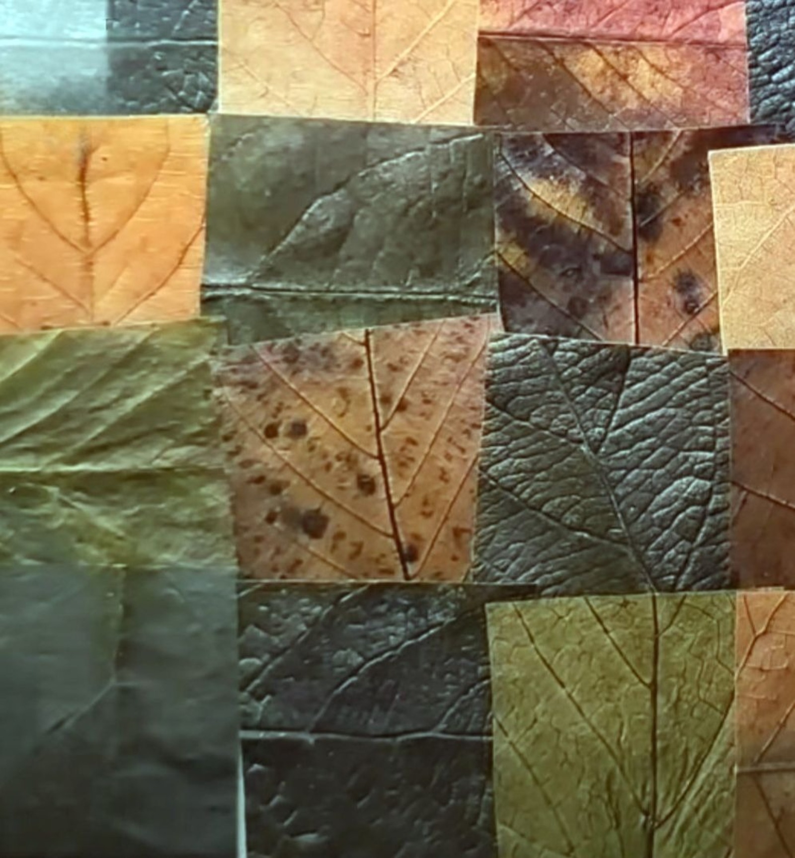 Галина РОДИОНОВА