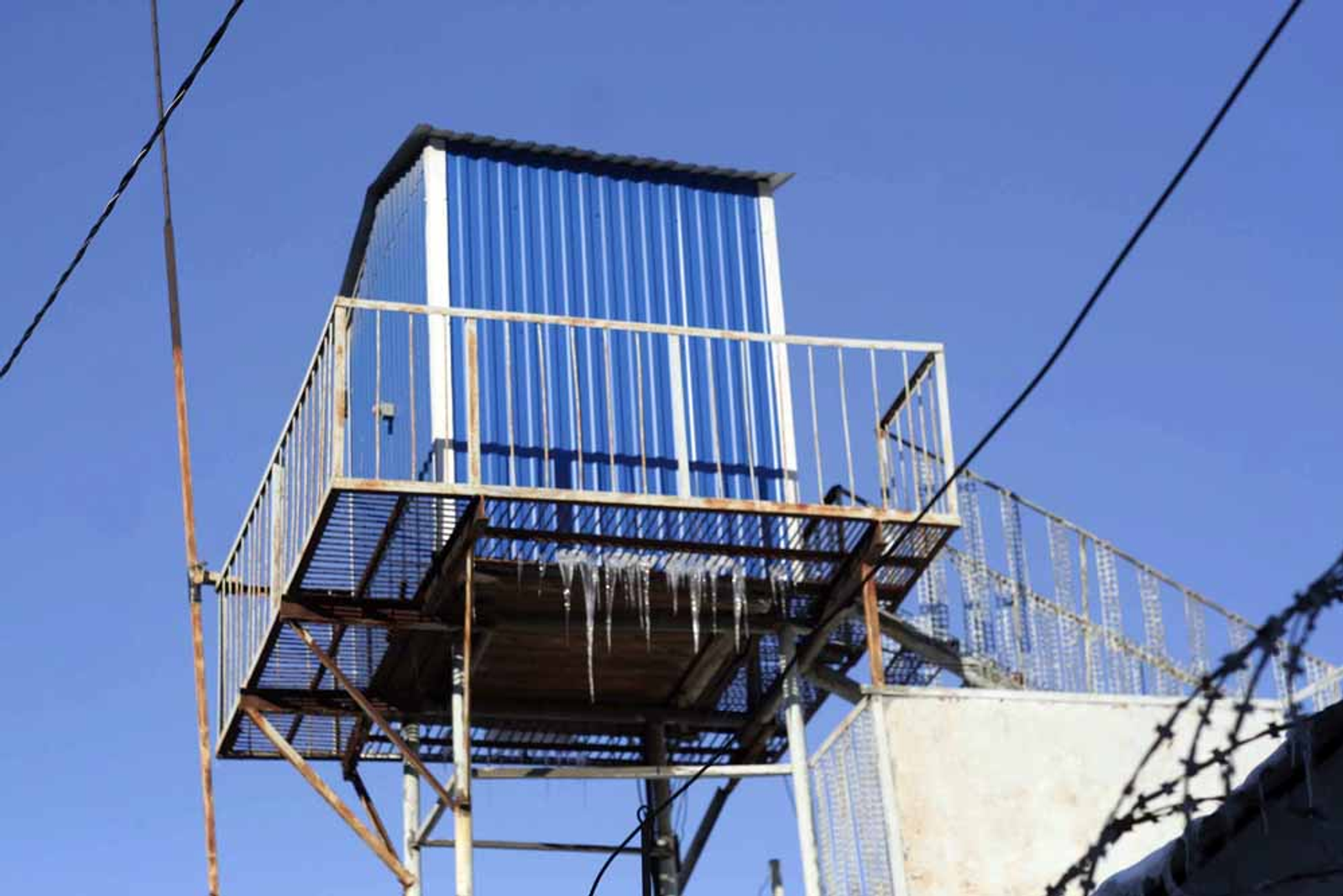 Яну Гайдук отправили в колонию на три с половиной года