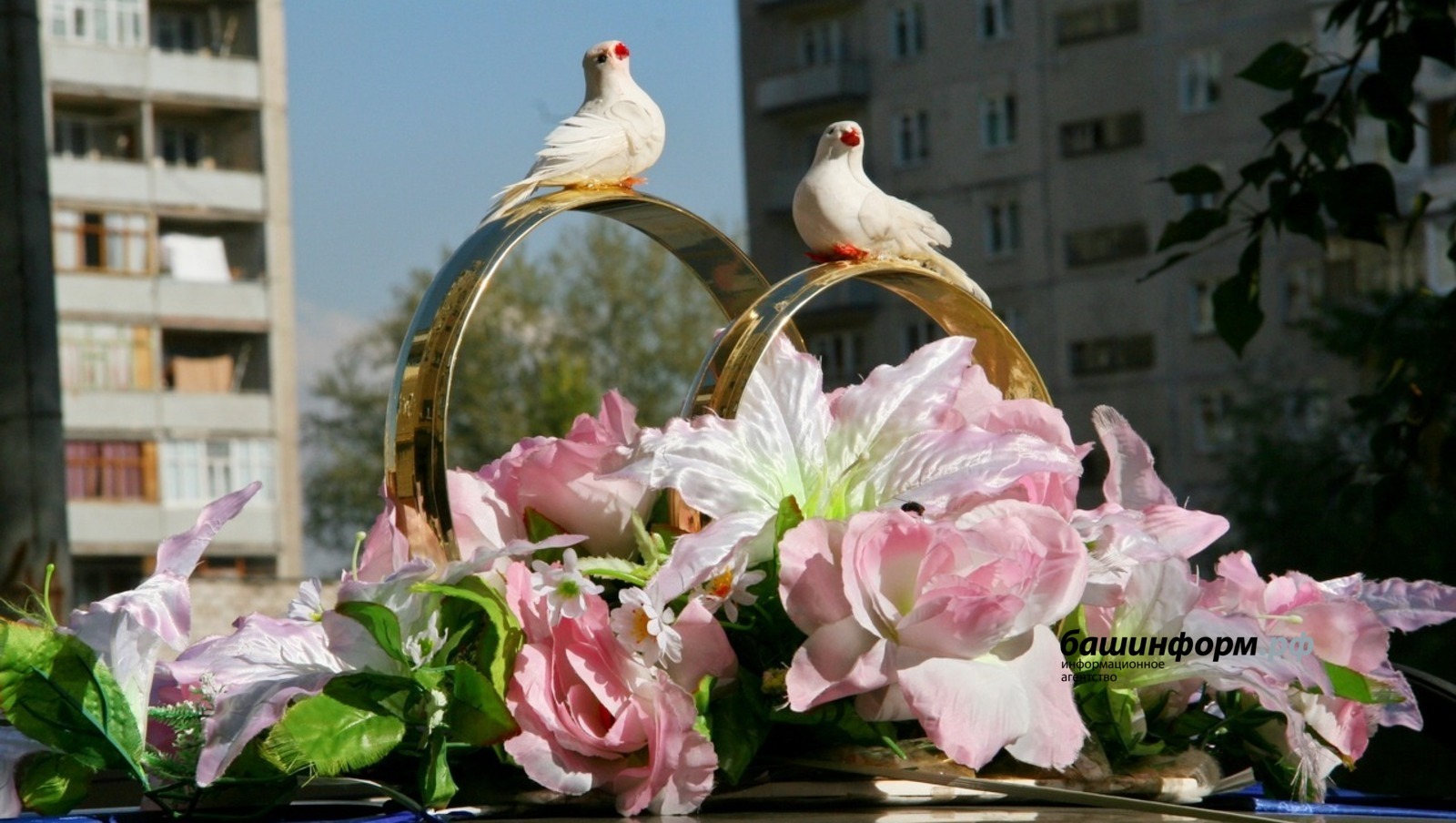 В Башкирии в День семьи, любви и верности сыграют свадьбу 300 пар