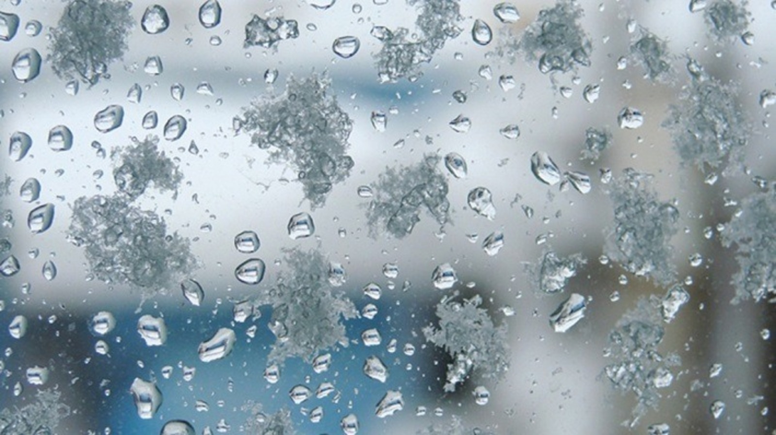 Альберт ЗАГИРОВ.