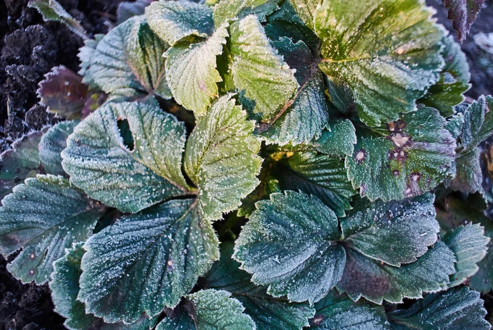 В Уфе перекрыт абсолютный минимум температуры воздуха