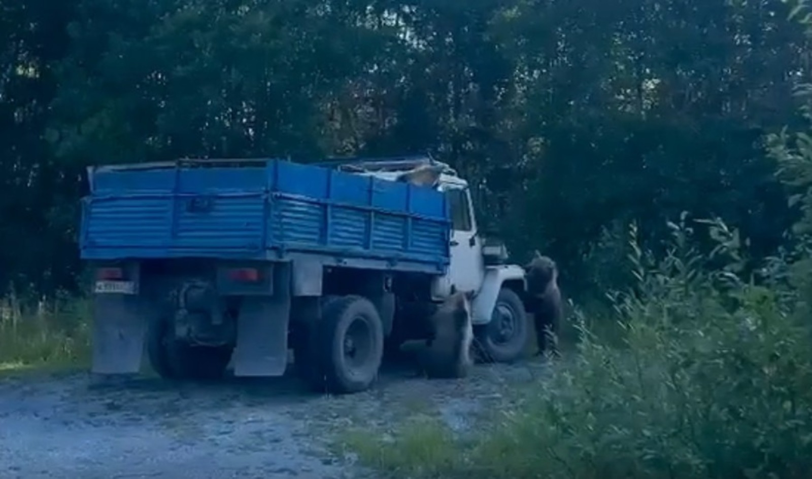 Газета «Межгорье»