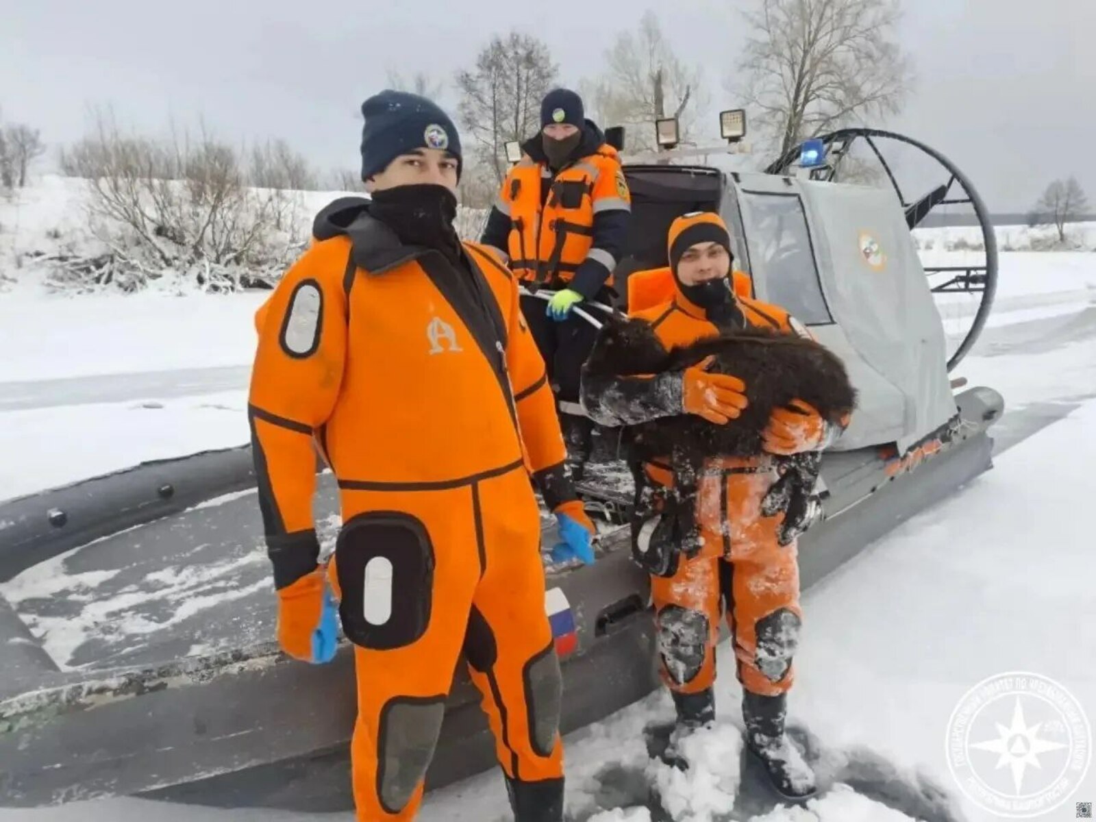 В Башкирии 780 овец утонули в озере Узеть. Одна выжила