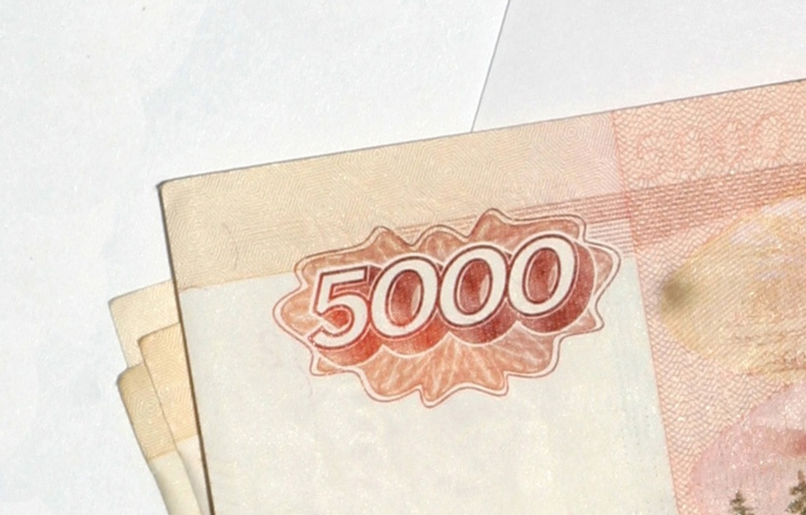 В Стерлитамаке несовершеннолетняя девушка отдала мошенникам полмиллиона рублей