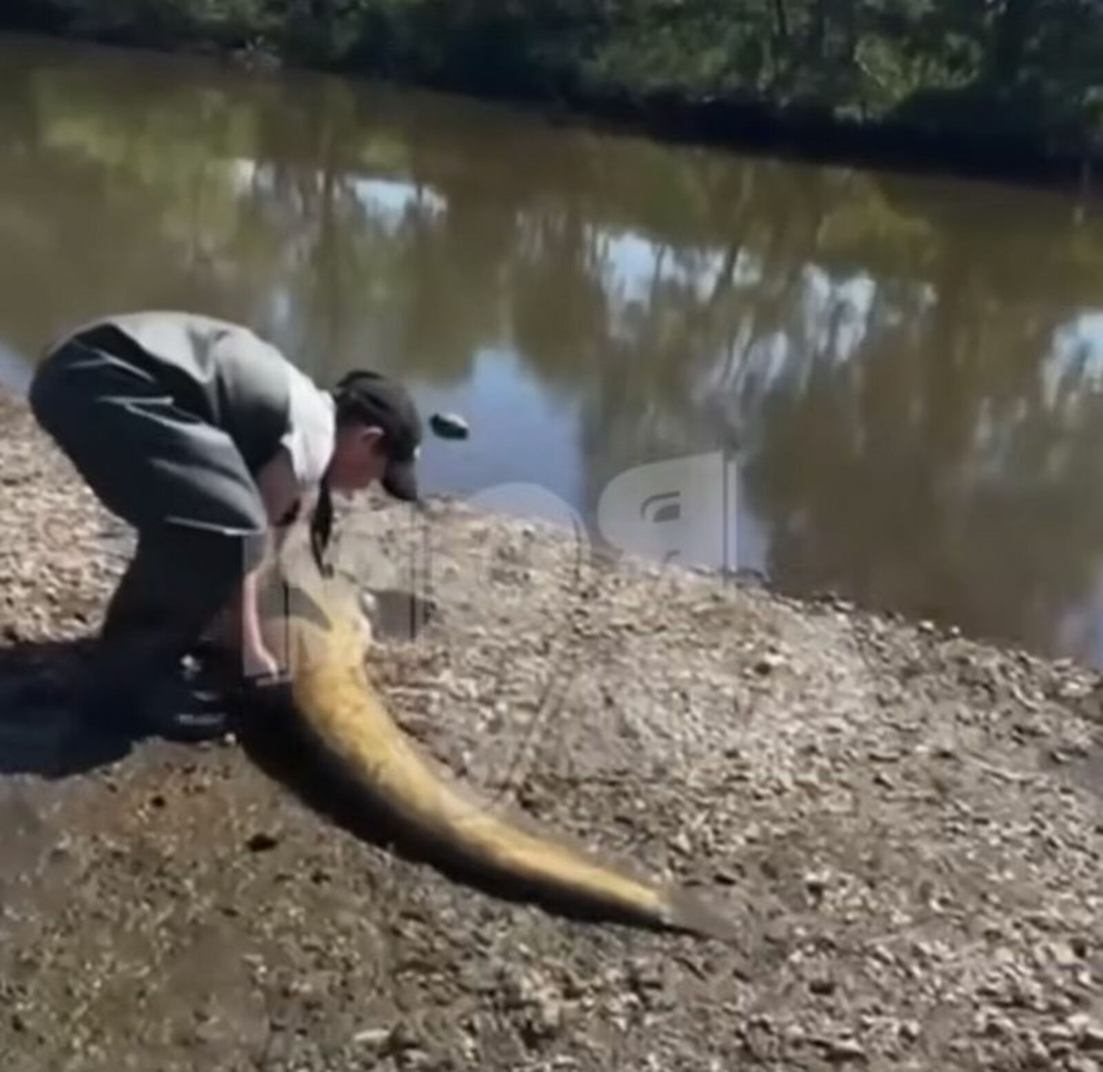 скриншот видео