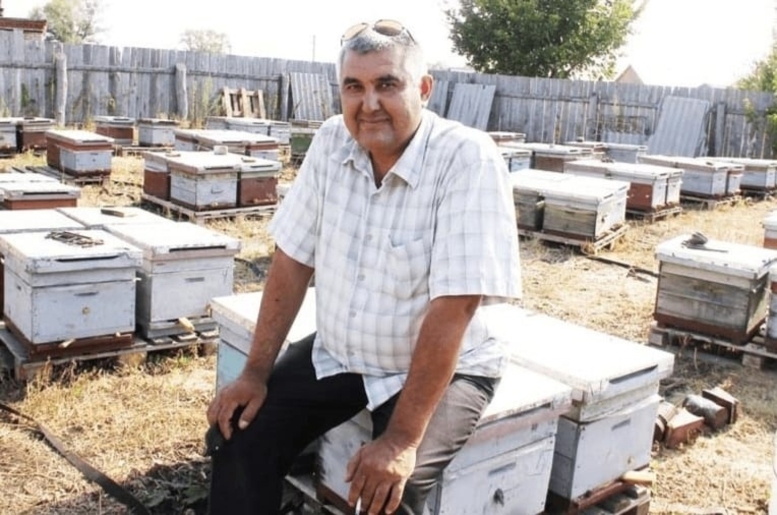 Пчеловод из Башкирии отправил участникам СВО более тонны липового меда