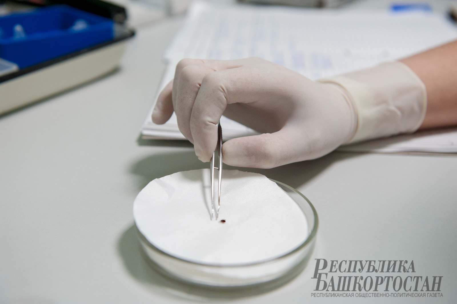 Альберт ЗАГИРОВ.