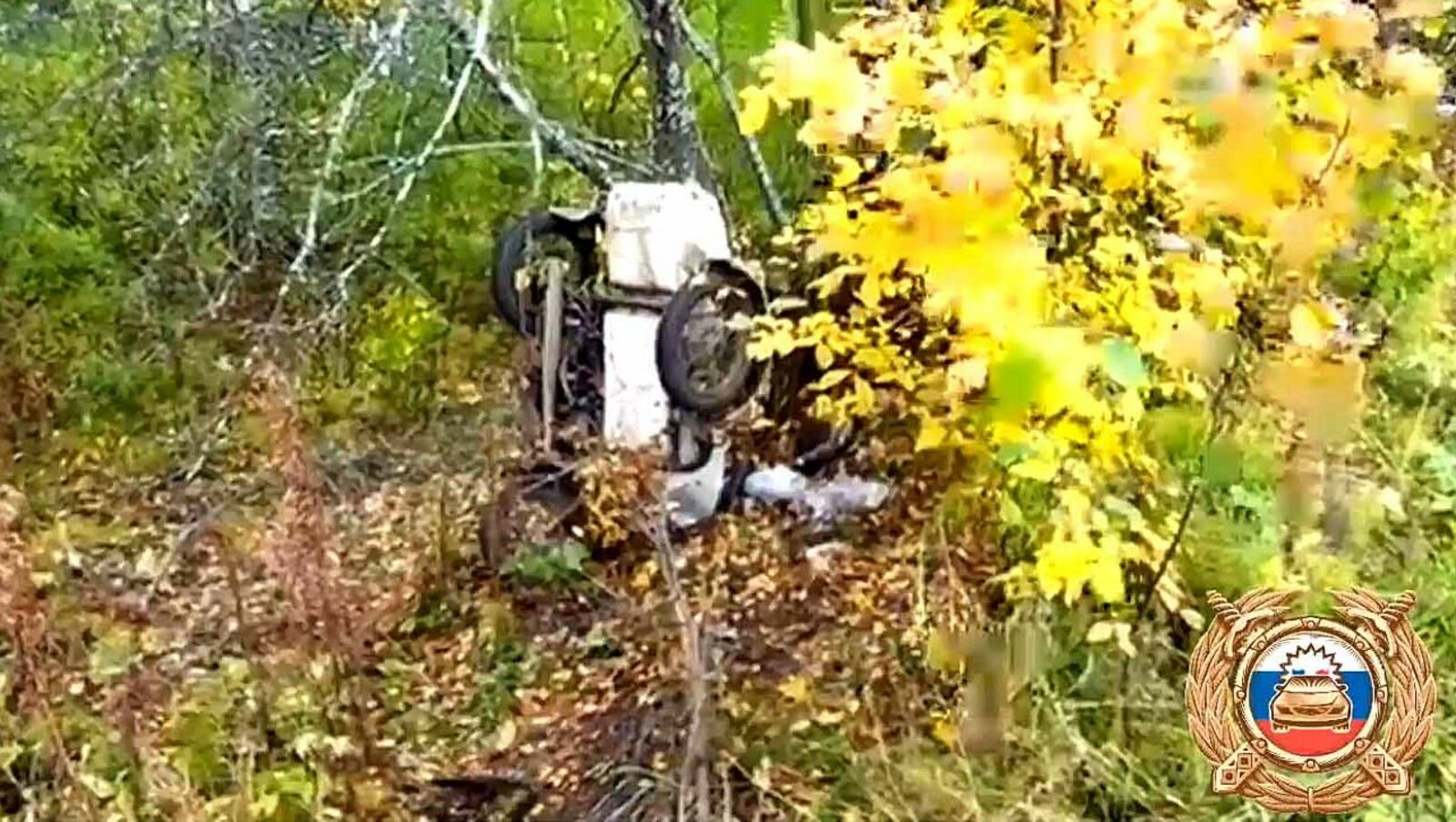 В Башкирии мотоциклист врезался в дерево и погиб