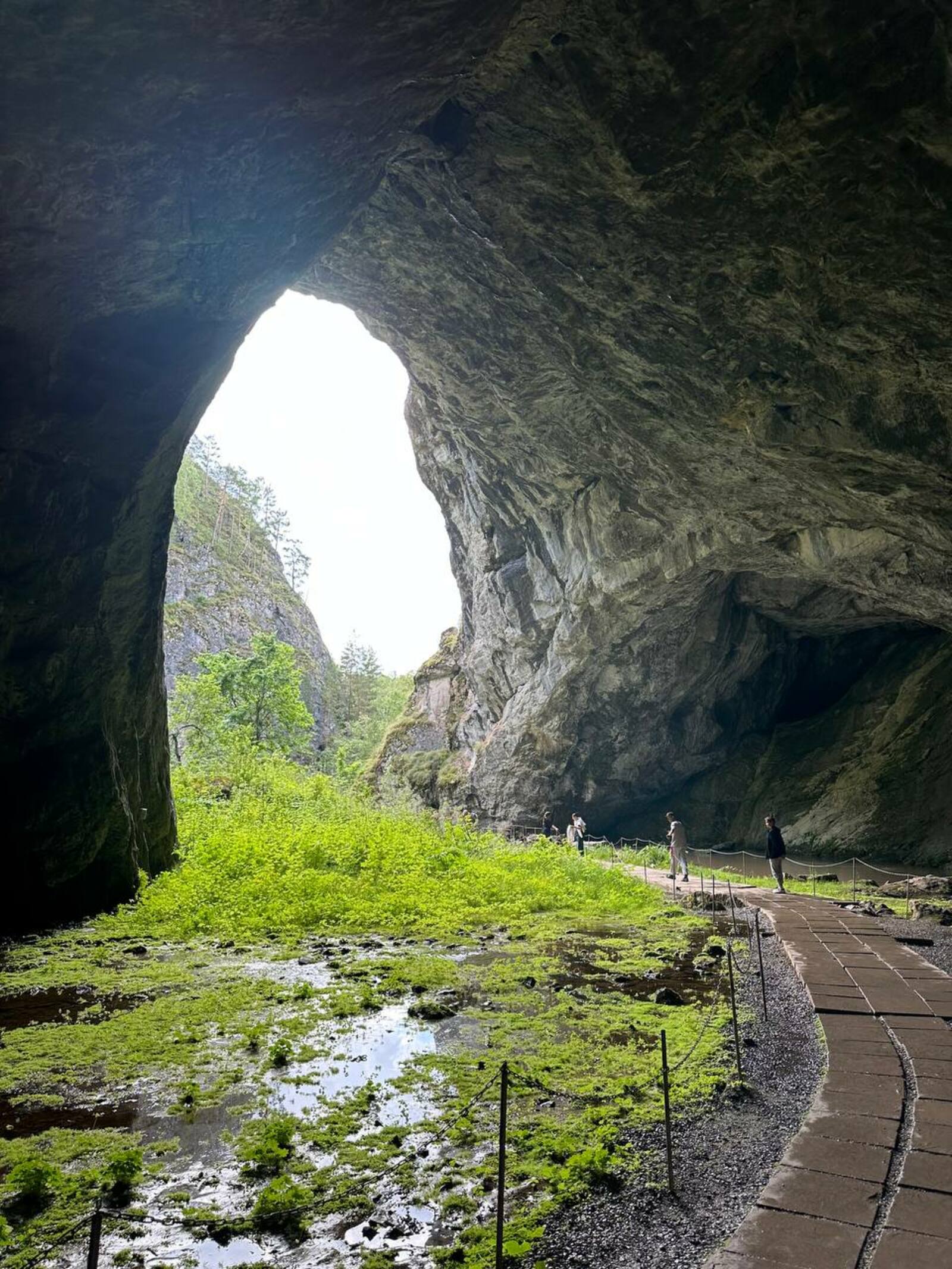 Башкирия продолжает укреплять позиции России в повестке ЮНЕСКО