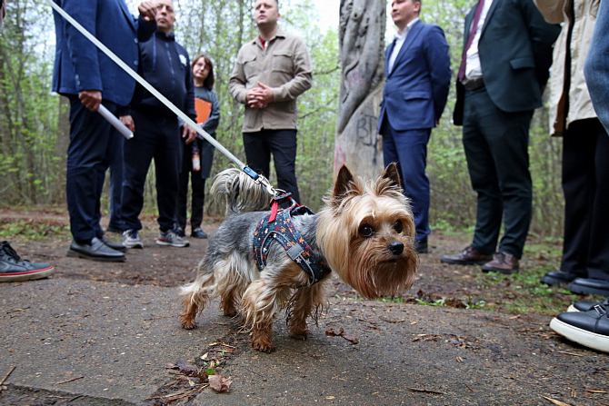 В Уфе благоустроят дендропарк имени лесовода Георгия Рутто
