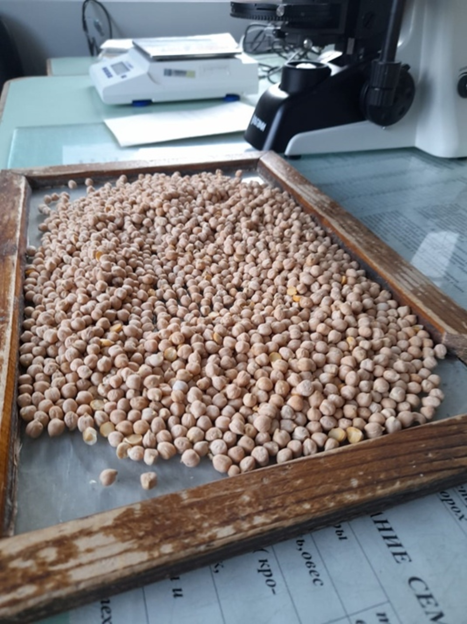 пресс-служба управления Россельхознадзора РБ