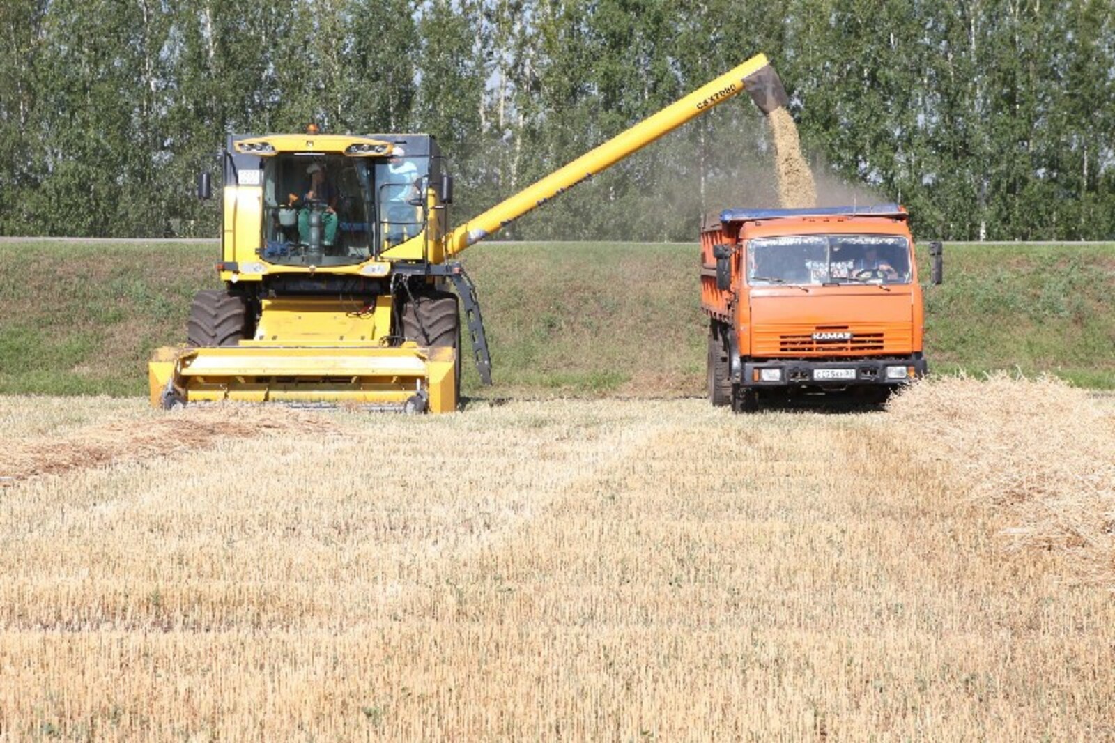 В Башкирии намолотили 65 тысяч тонн зерна