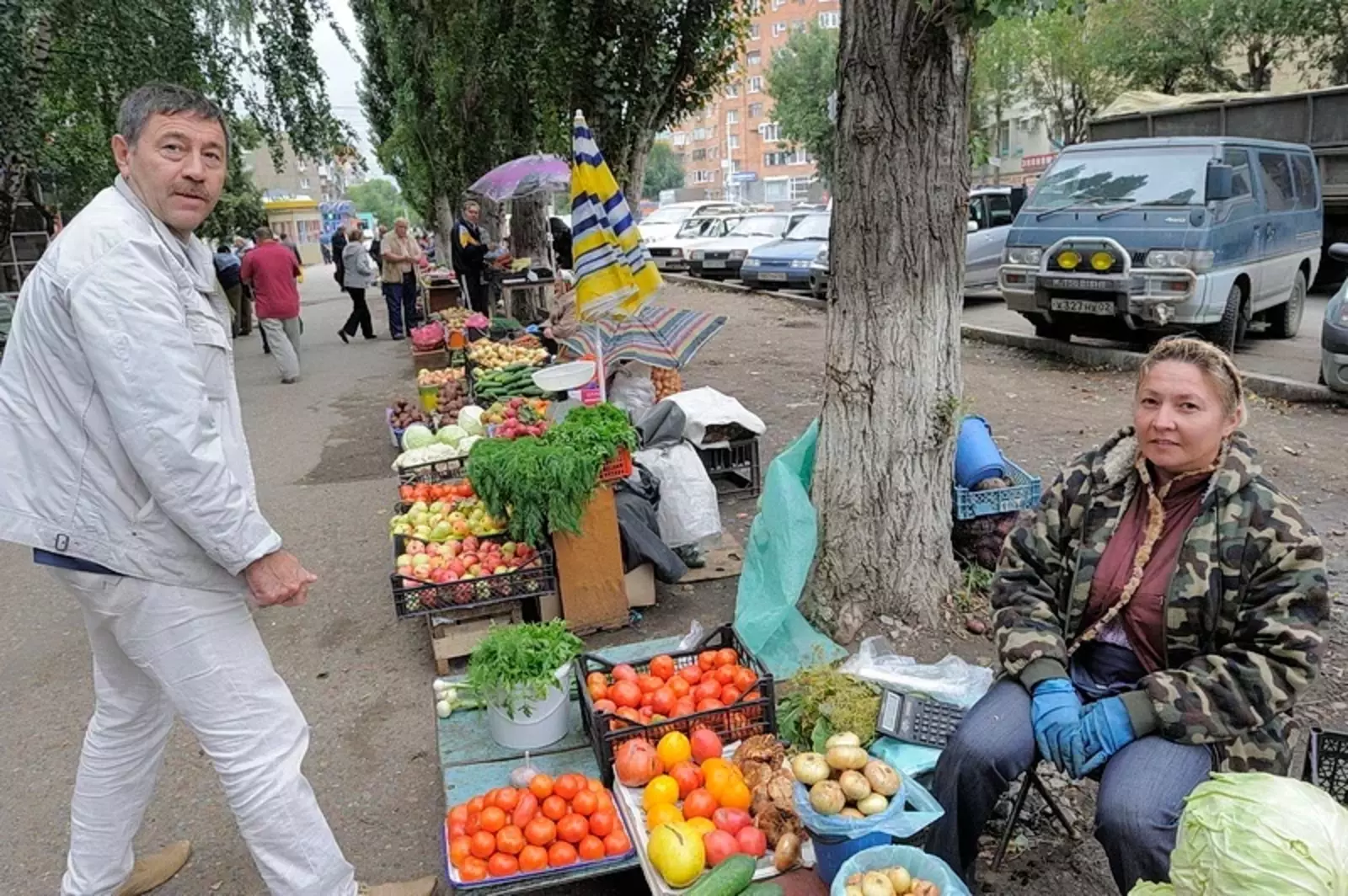 В Башкирии начали дешеветь огурцы и помидоры